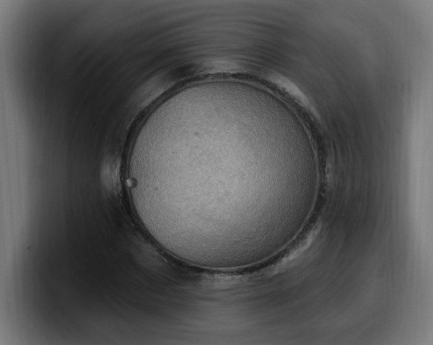 X0000100500873200806131434