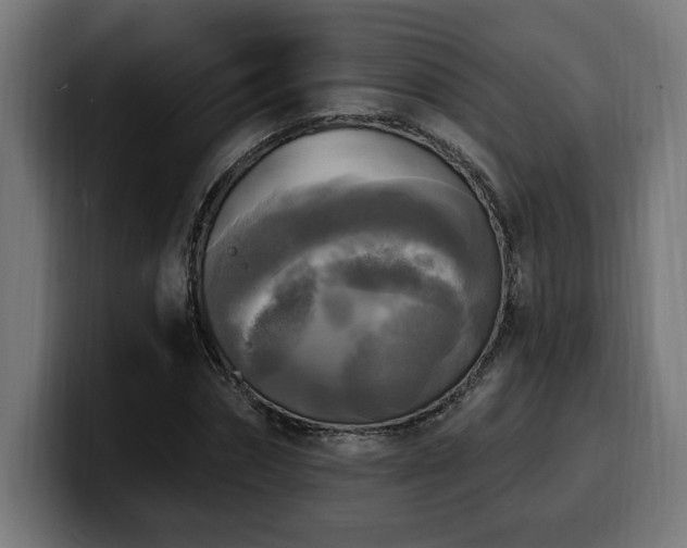 X0000100500874200806131434