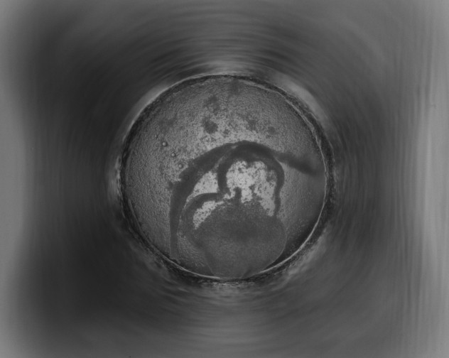 X0000100500875200806131434