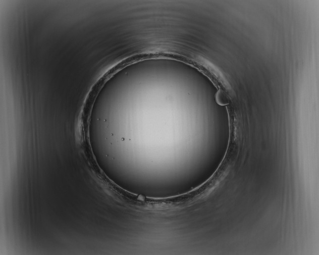 X0000100500876200806131434