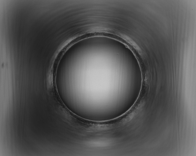 X0000100500877200806131434