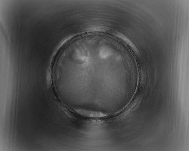 X0000100500878200806131434