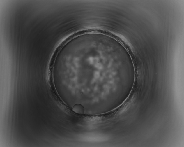 X0000100500879200806131434