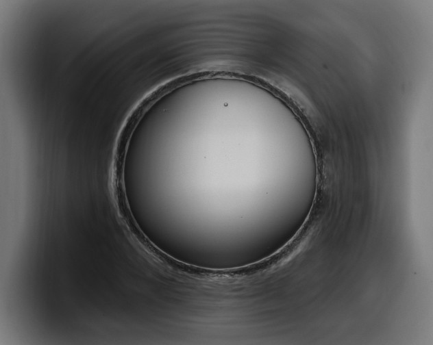 X0000100500880200806131434