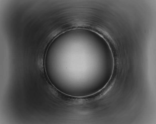 X0000100500881200806131434