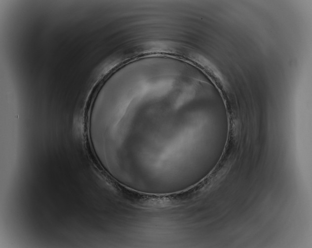 X0000100500882200806131434