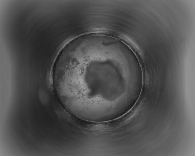 X0000100500883200806131434