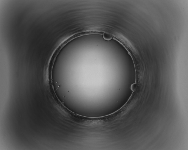 X0000100500884200806131434