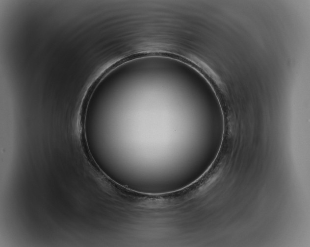 X0000100500885200806131434