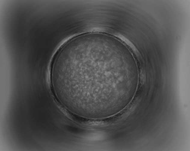 X0000100500886200806131434