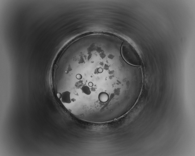 X0000100500887200806131434