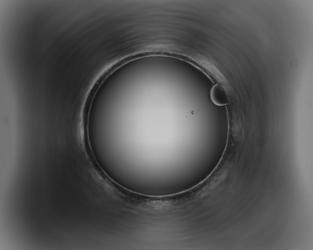 X0000100500888200806131434