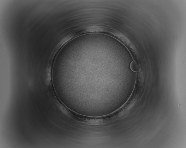 X0000100500889200806131434