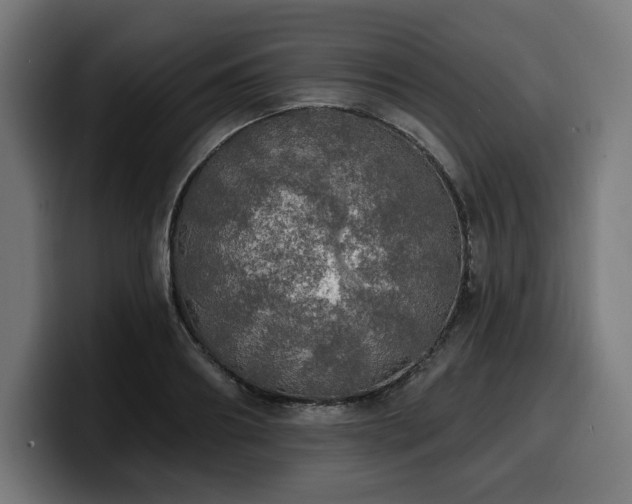 X0000100500890200806131434