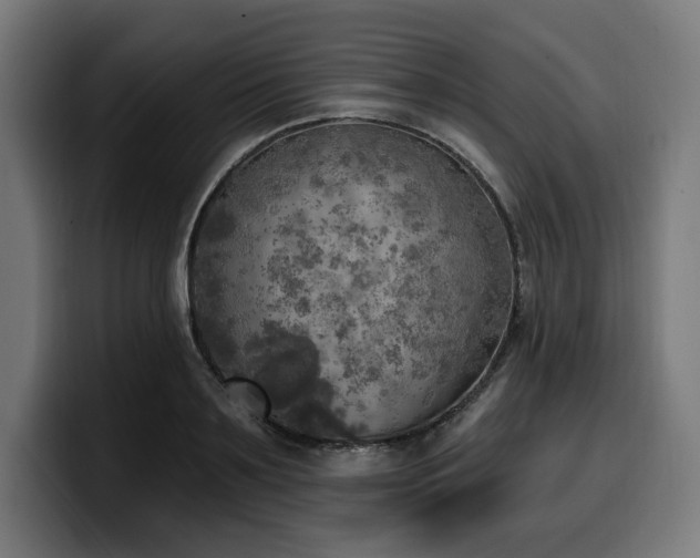 X0000100500891200806131434