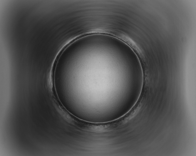 X0000100500892200806131434