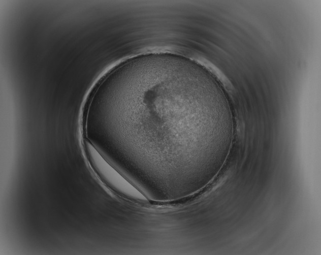 X0000100500894200806131434