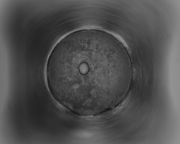 X0000100500895200806131434