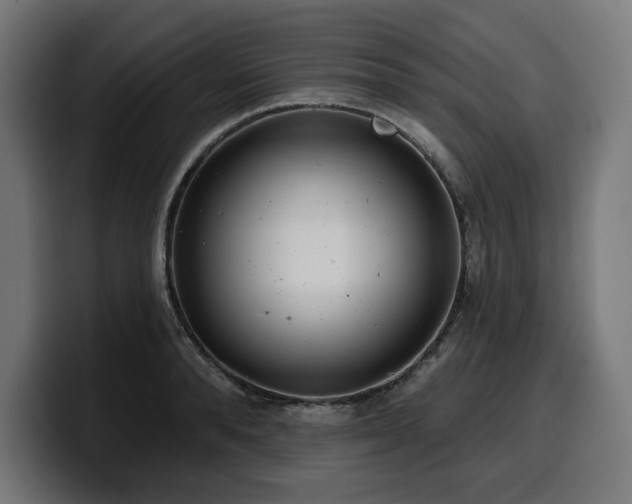 X0000100500896200806131434