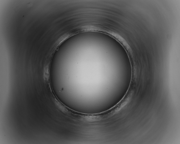 X0000100500897200806131434