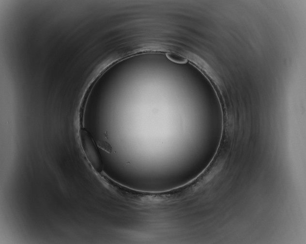 X0000100500898200806131434