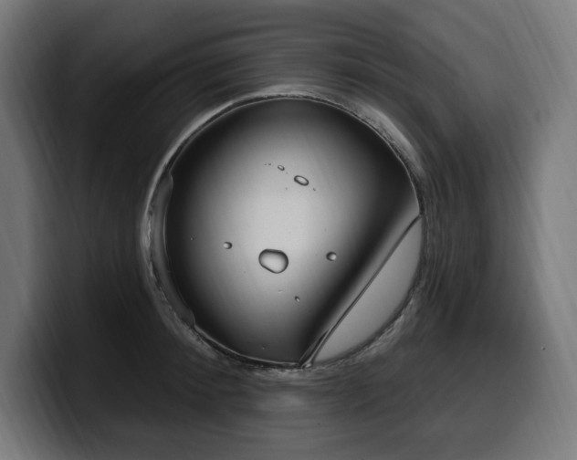 X0000100500900200806131434