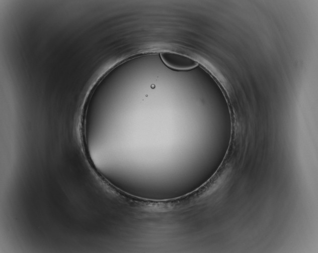 X0000100500901200806131434