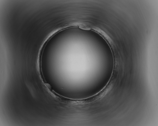 X0000100500902200806131434