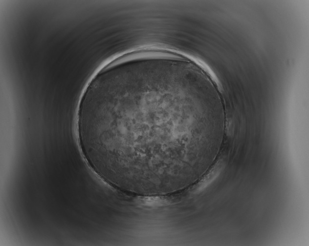 X0000100500903200806131434