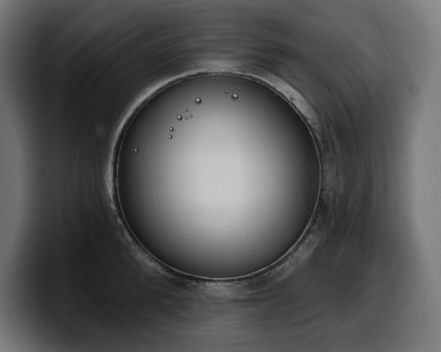 X0000100500904200806131434