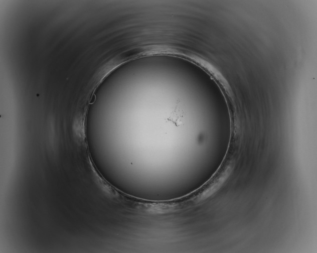 X0000100500905200806131434