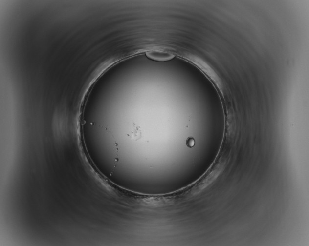 X0000100500906200806131434