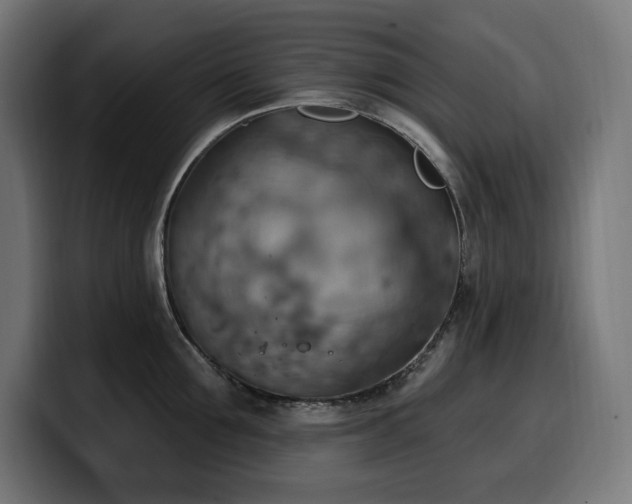 X0000100500907200806131434