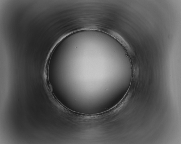 X0000100500908200806131434