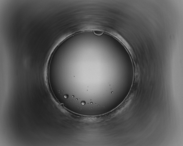 X0000100500909200806131434