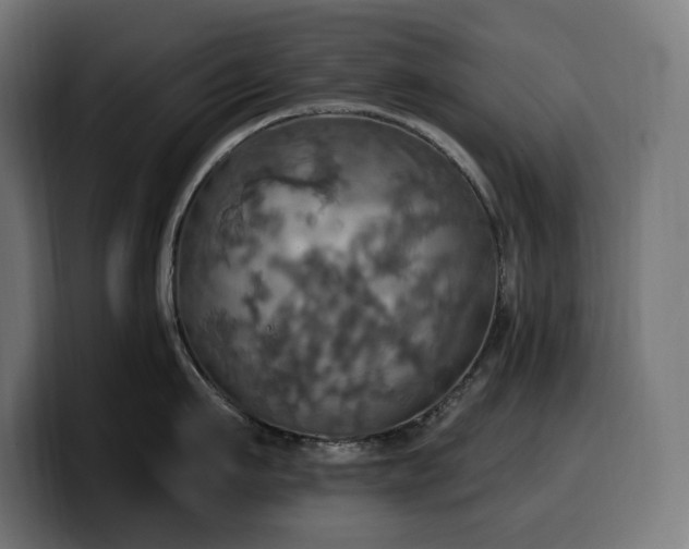 X0000100500911200806131434