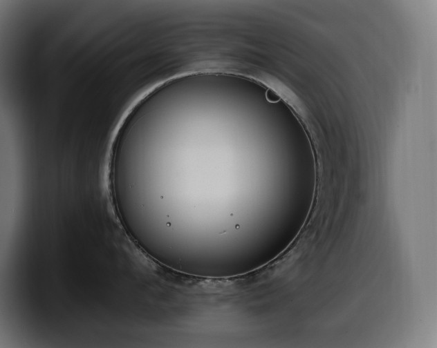 X0000100500912200806131434