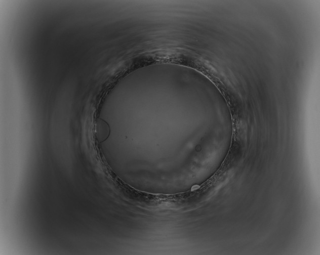 X0000100500913200806131433