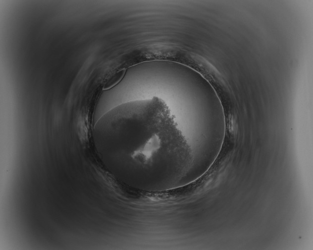 X0000100500915200806131433