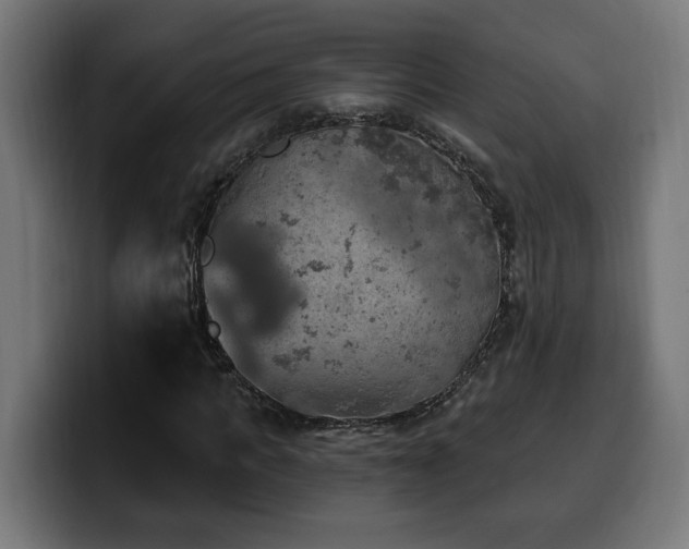 X0000100500917200806131433