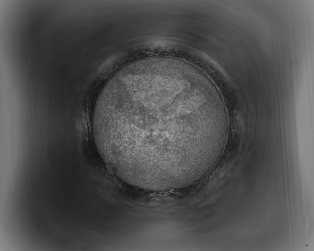 X0000100500918200806131433