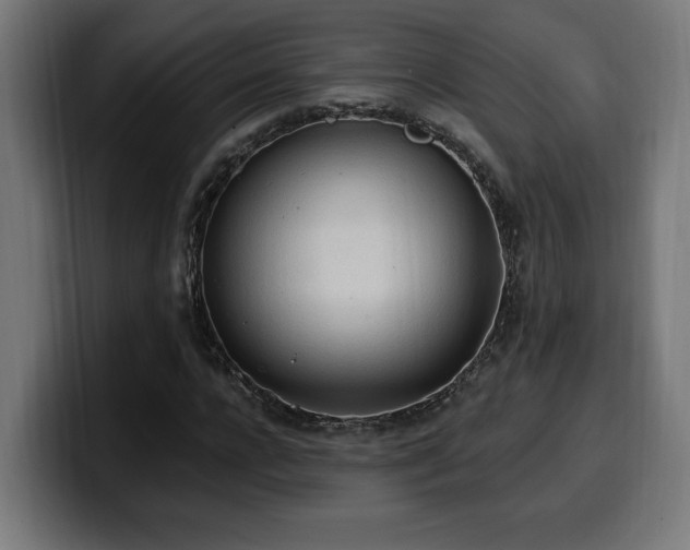 X0000100500920200806131433