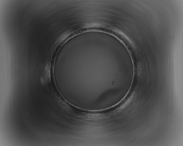 X0000100500921200806131433