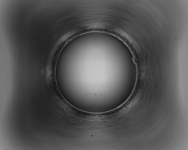 X0000100500922200806131433