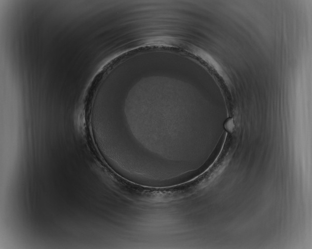 X0000100500923200806131433