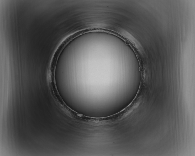 X0000100500924200806131433