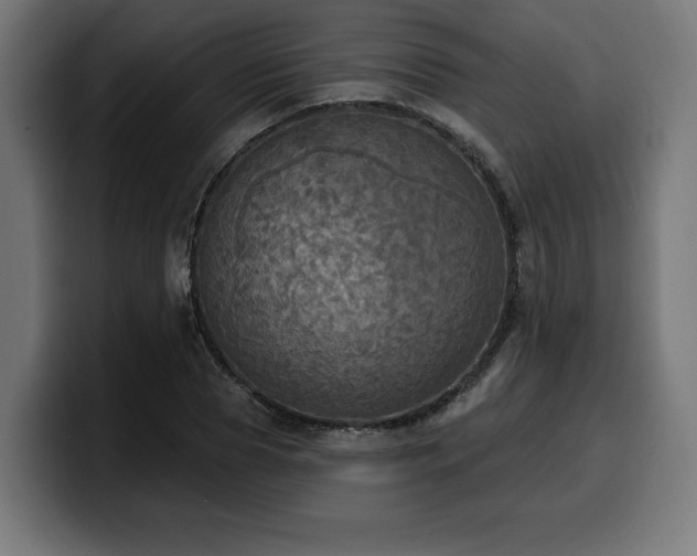 X0000100500929200806131433