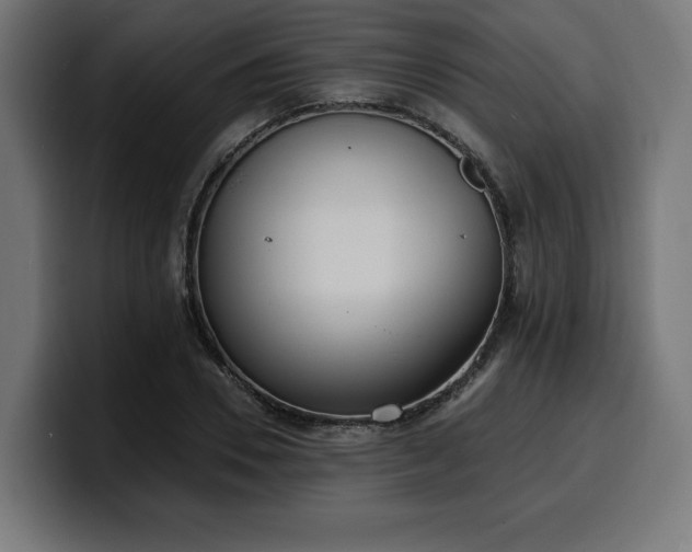 X0000100500930200806131433