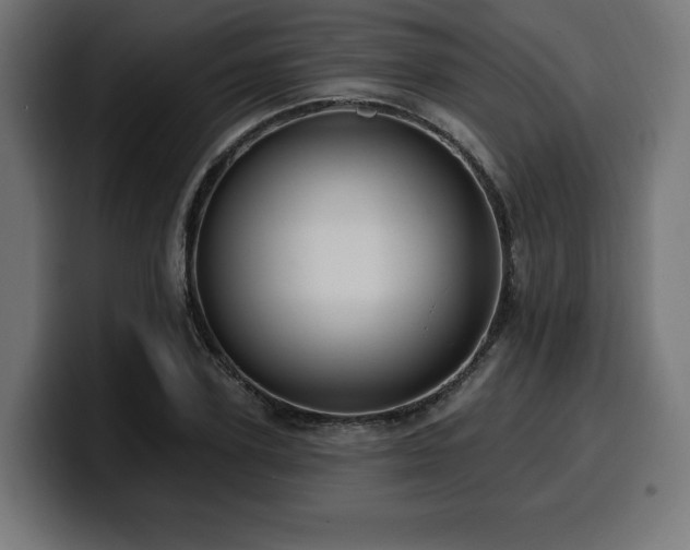 X0000100500931200806131433