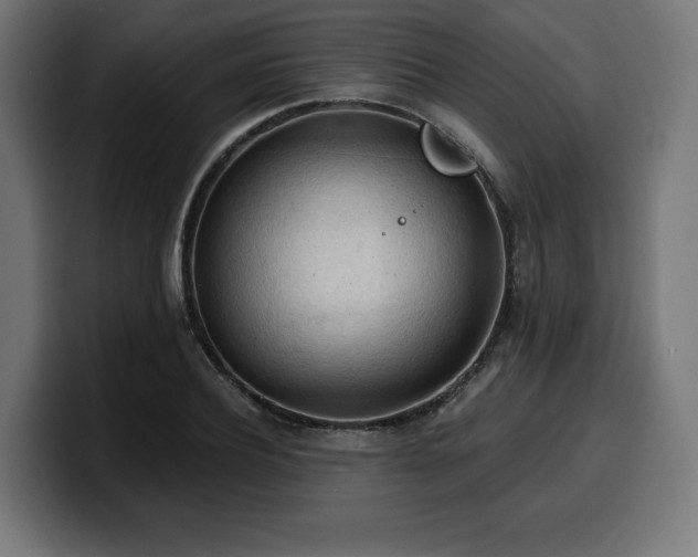 X0000100500932200806131433